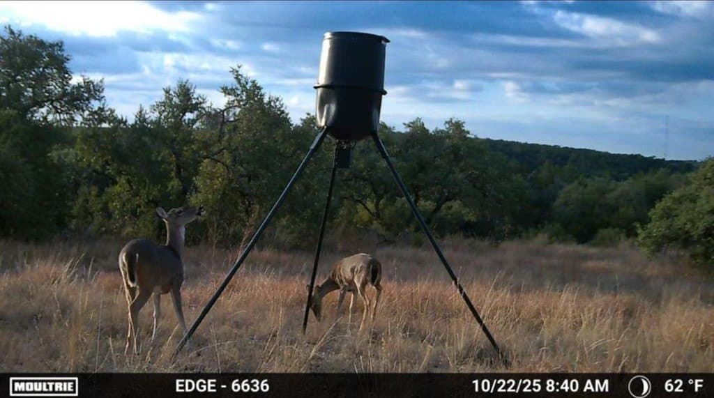 20 acres in Travis County - photo 6