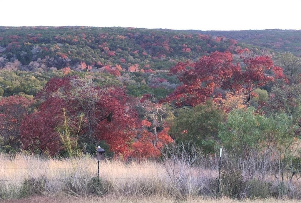 20 acres in Travis County - photo 34