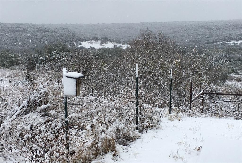 20 acres in Travis County - photo 33