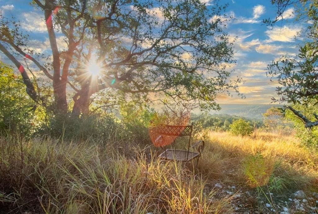 20 acres in Travis County - photo 21