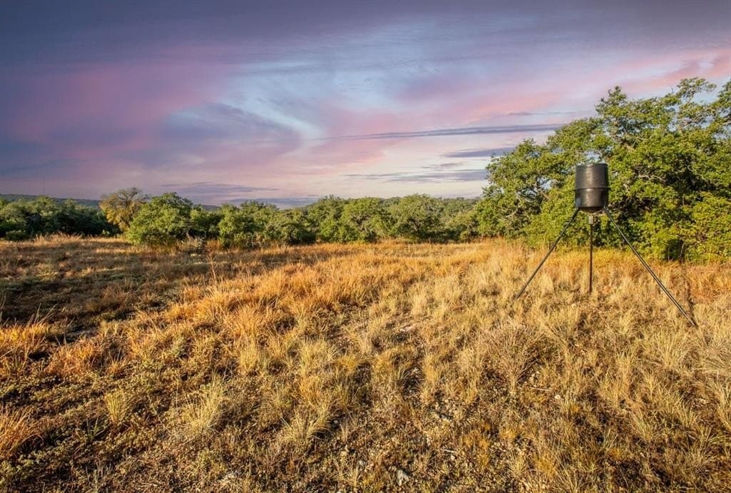 20 acres in Travis County - photo 23