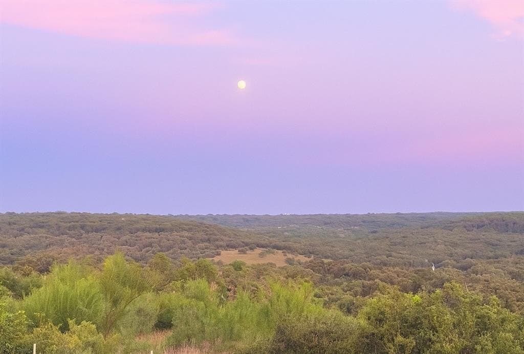 20 acres in Travis County - photo 26