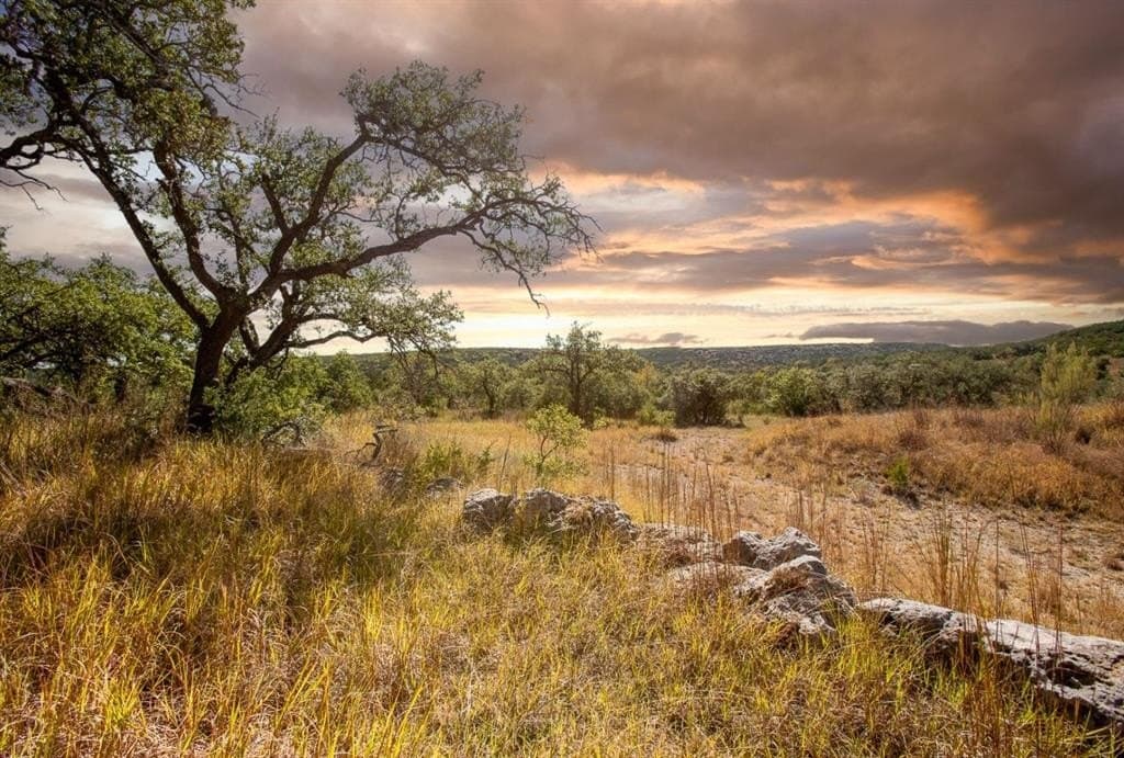 20 acres in Travis County - photo 25