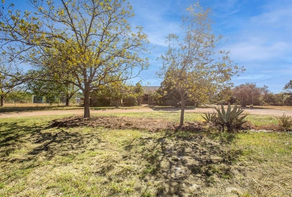 20 acres in Travis County - photo 8