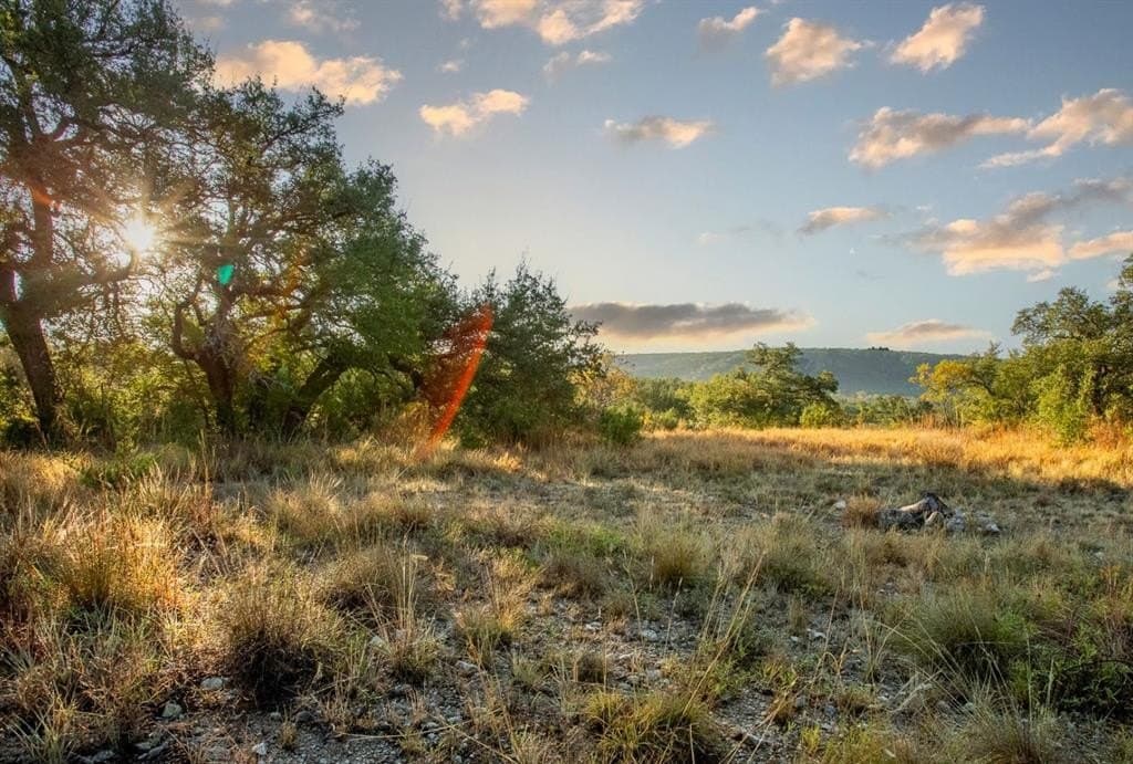 20 acres in Travis County - photo 24