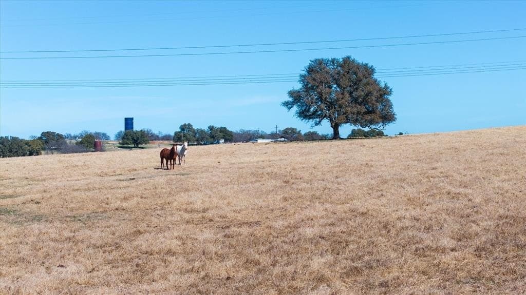 109.93 acres in Parker County - photo 29