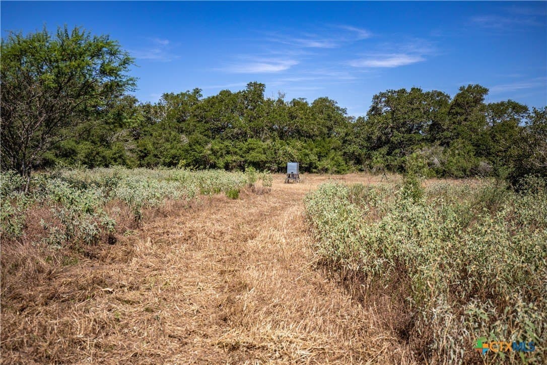 109.03 acres in DeWitt County - photo 42