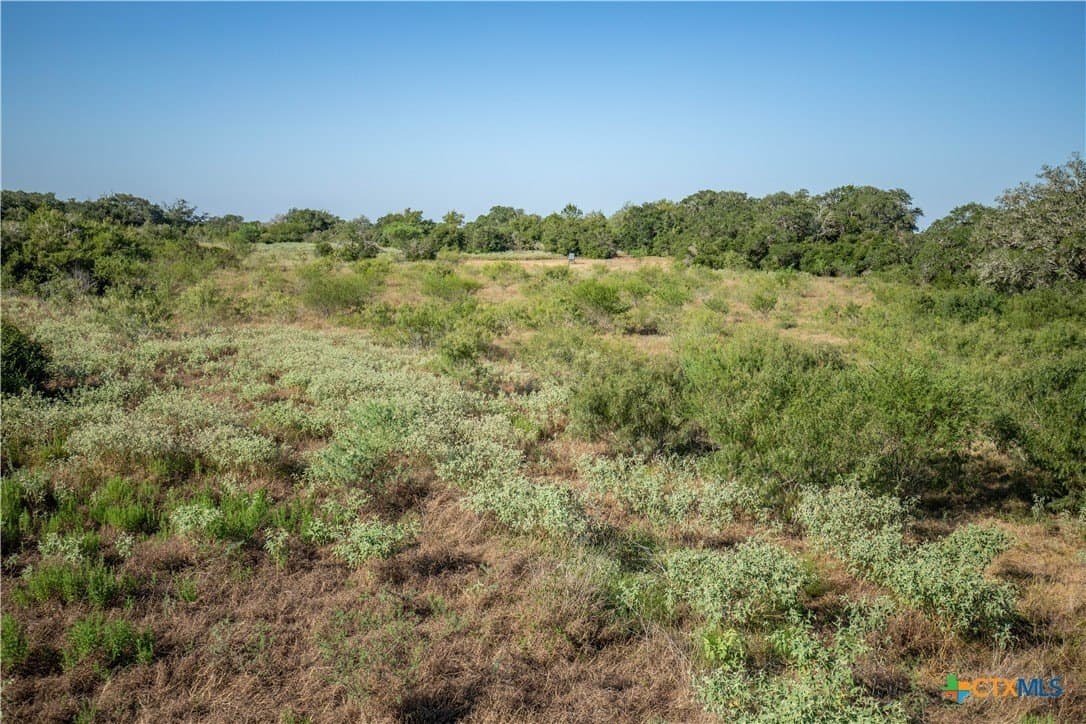 109.03 acres in DeWitt County - photo 16