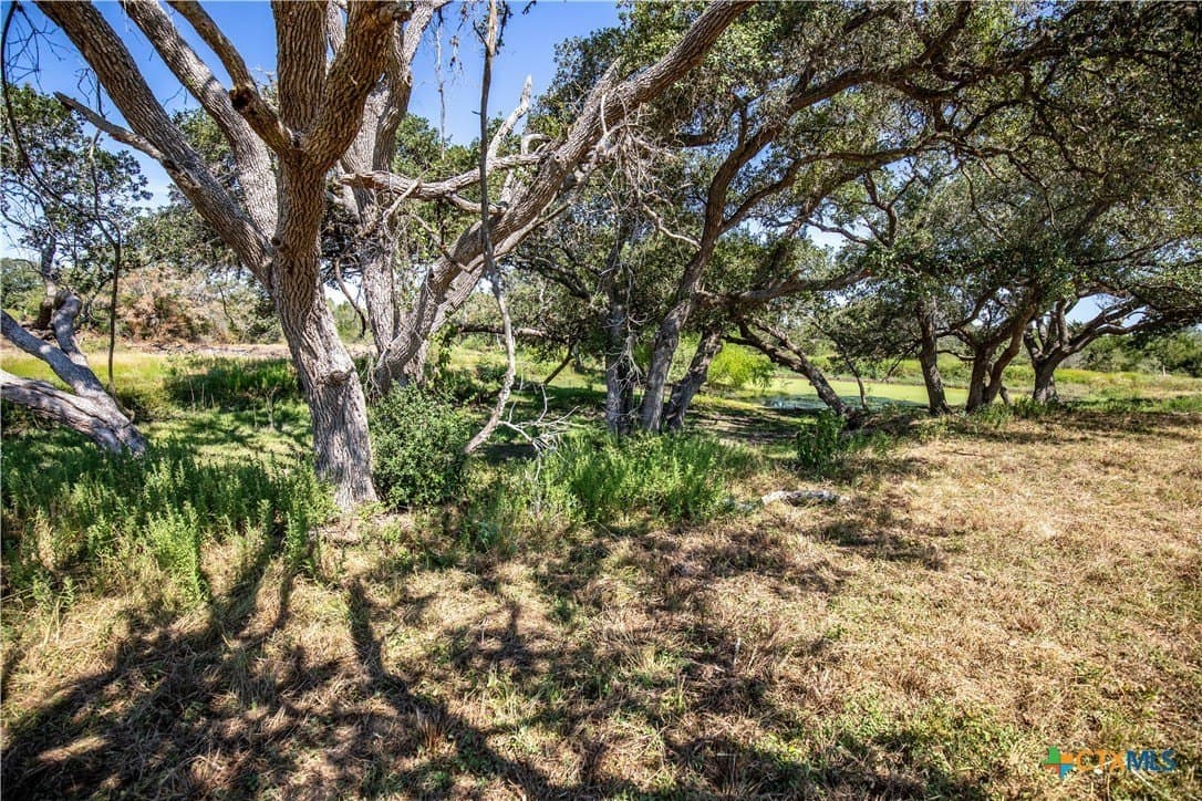 109.03 acres in DeWitt County - photo 40