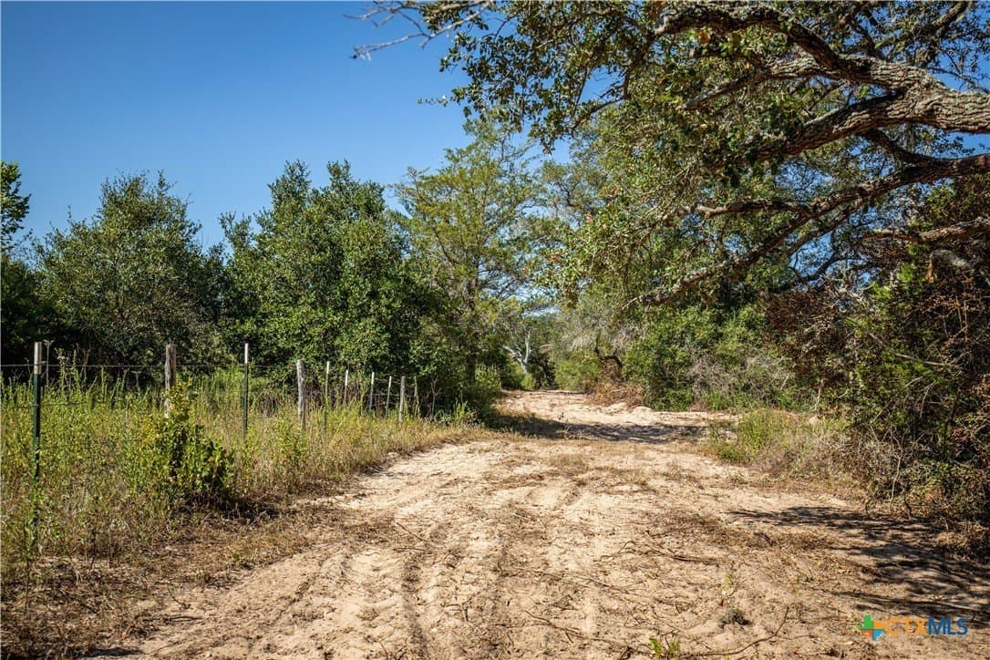 109.03 acres in DeWitt County - photo 22
