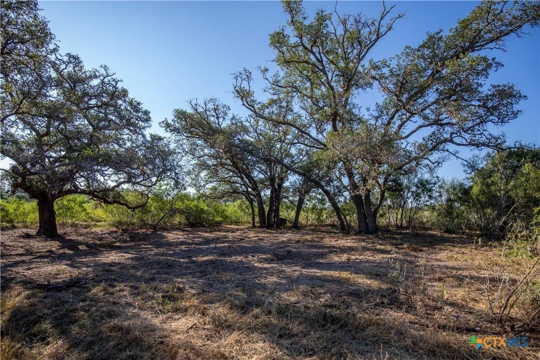 109.03 acres in DeWitt County - photo 11