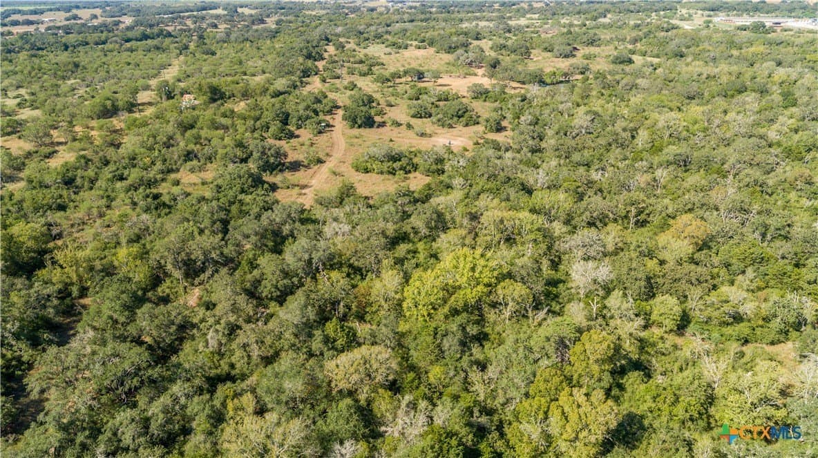 109.03 acres in DeWitt County - photo 3