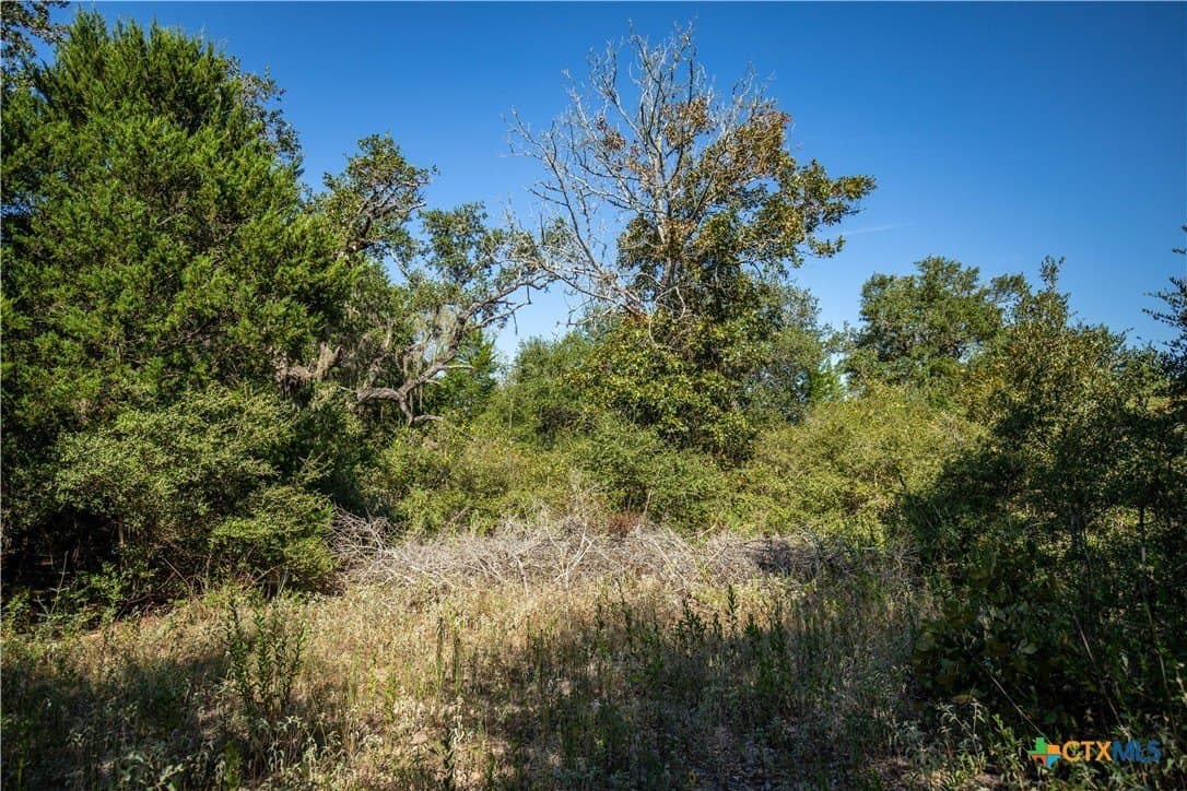 109.03 acres in DeWitt County - photo 23