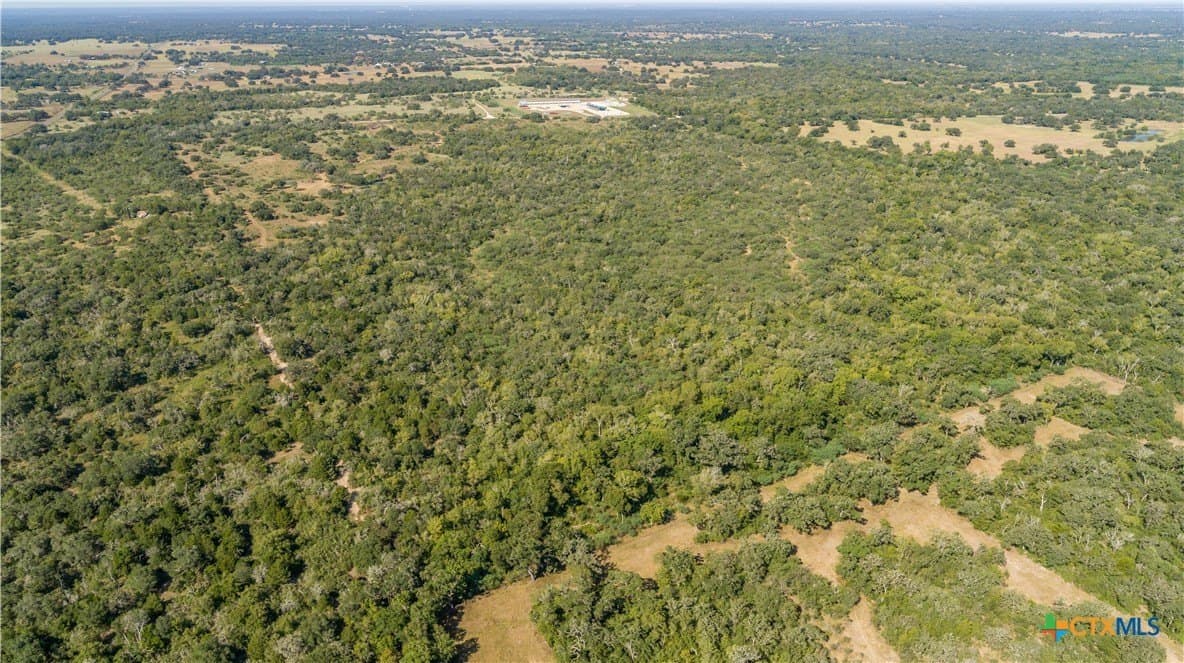 109.03 acres in DeWitt County - photo 5