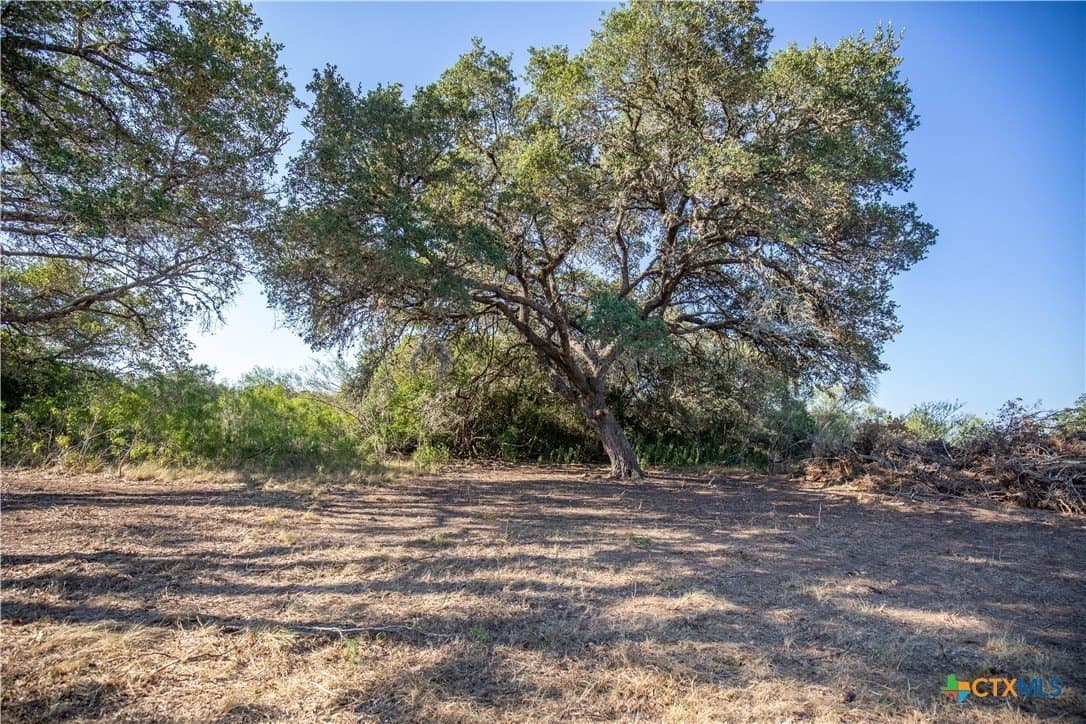 109.03 acres in DeWitt County - photo 9