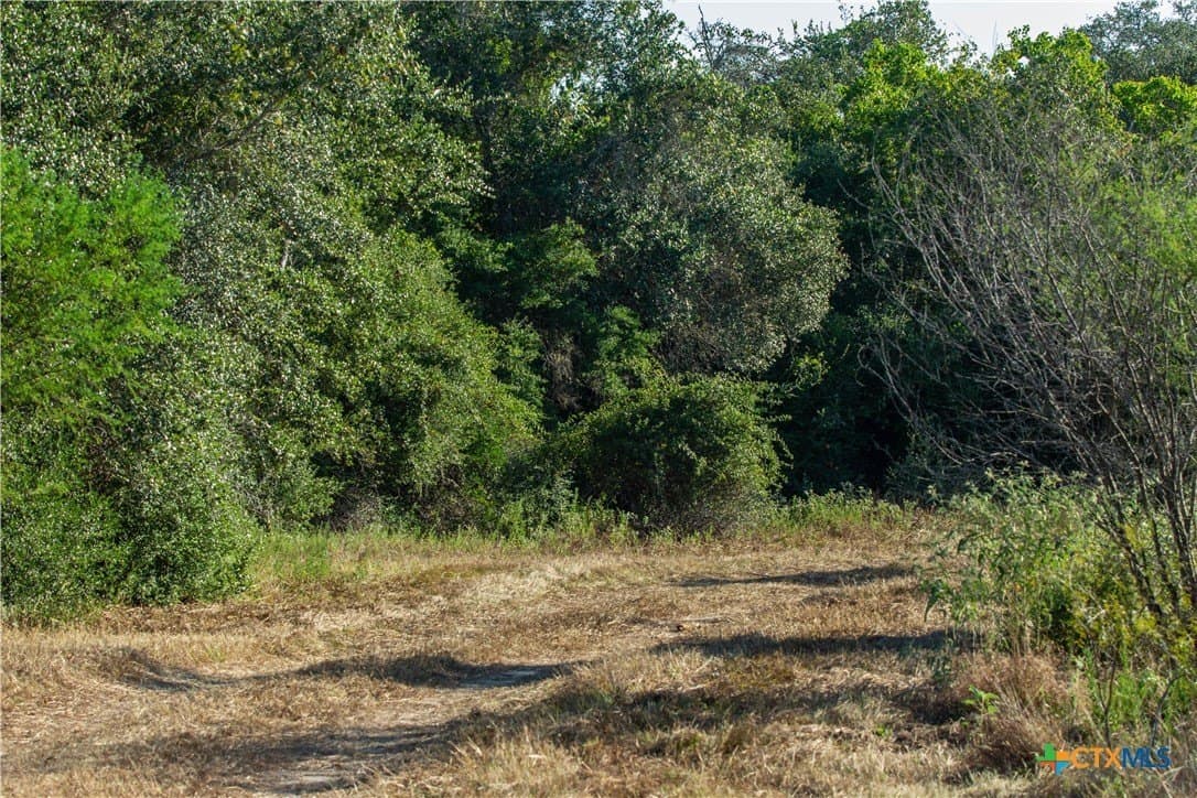 109.03 acres in DeWitt County - photo 45