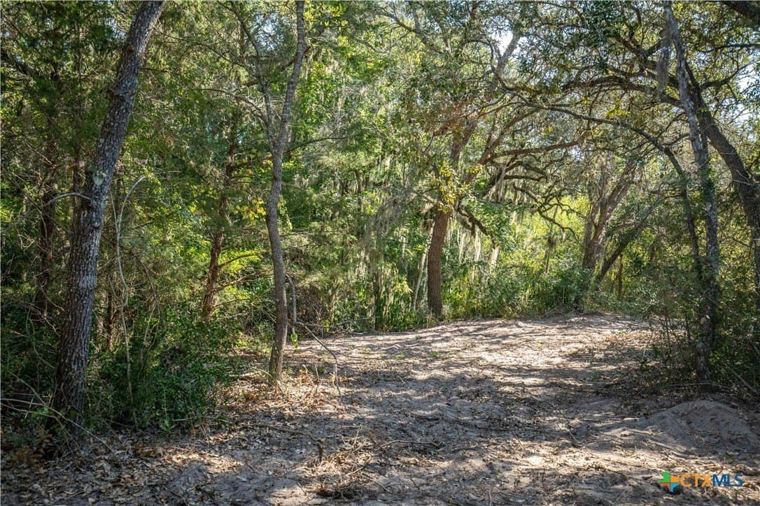 109.03 acres in DeWitt County - photo 20