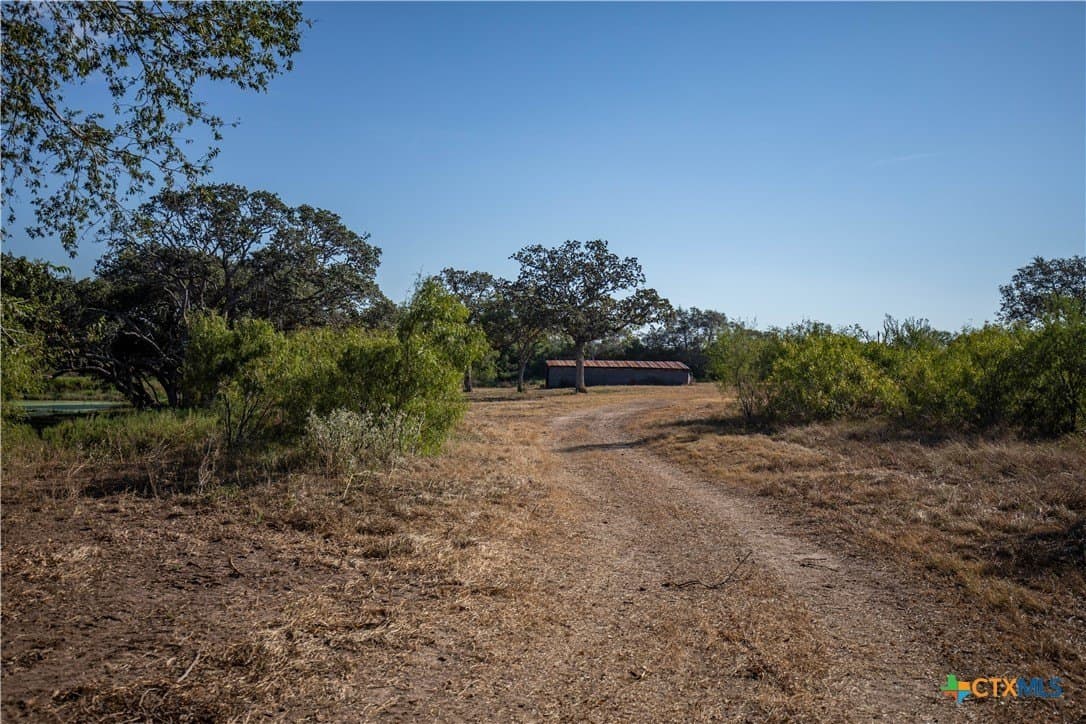 109.03 acres in DeWitt County - photo 12