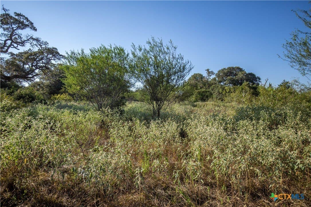109.03 acres in DeWitt County - photo 8
