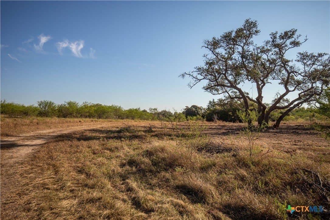 109.03 acres in DeWitt County - photo 7