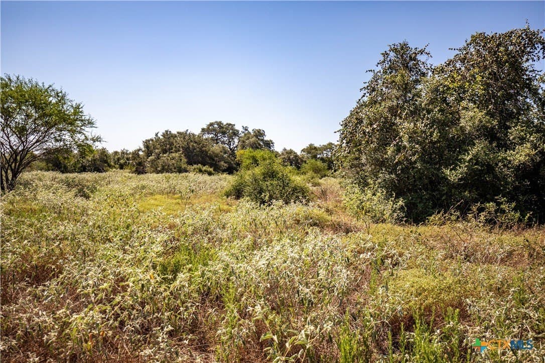 109.03 acres in DeWitt County - photo 44