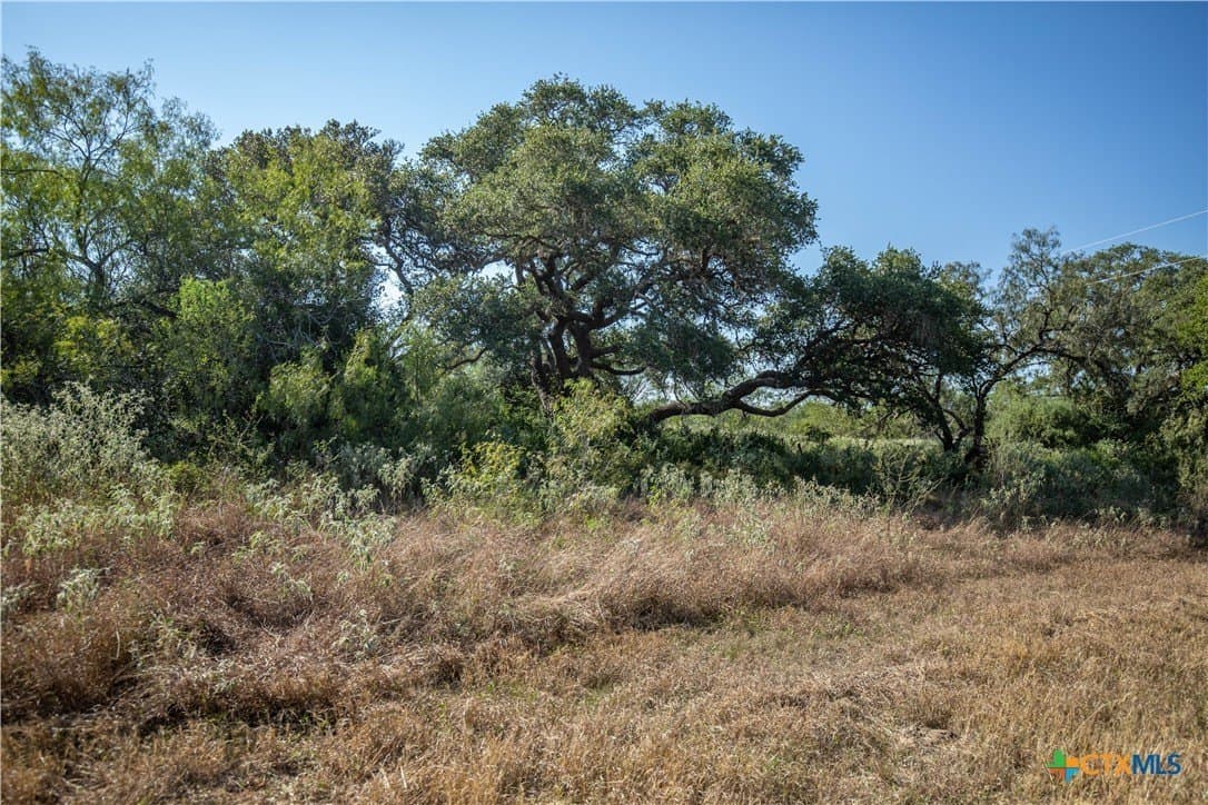109.03 acres in DeWitt County - photo 17