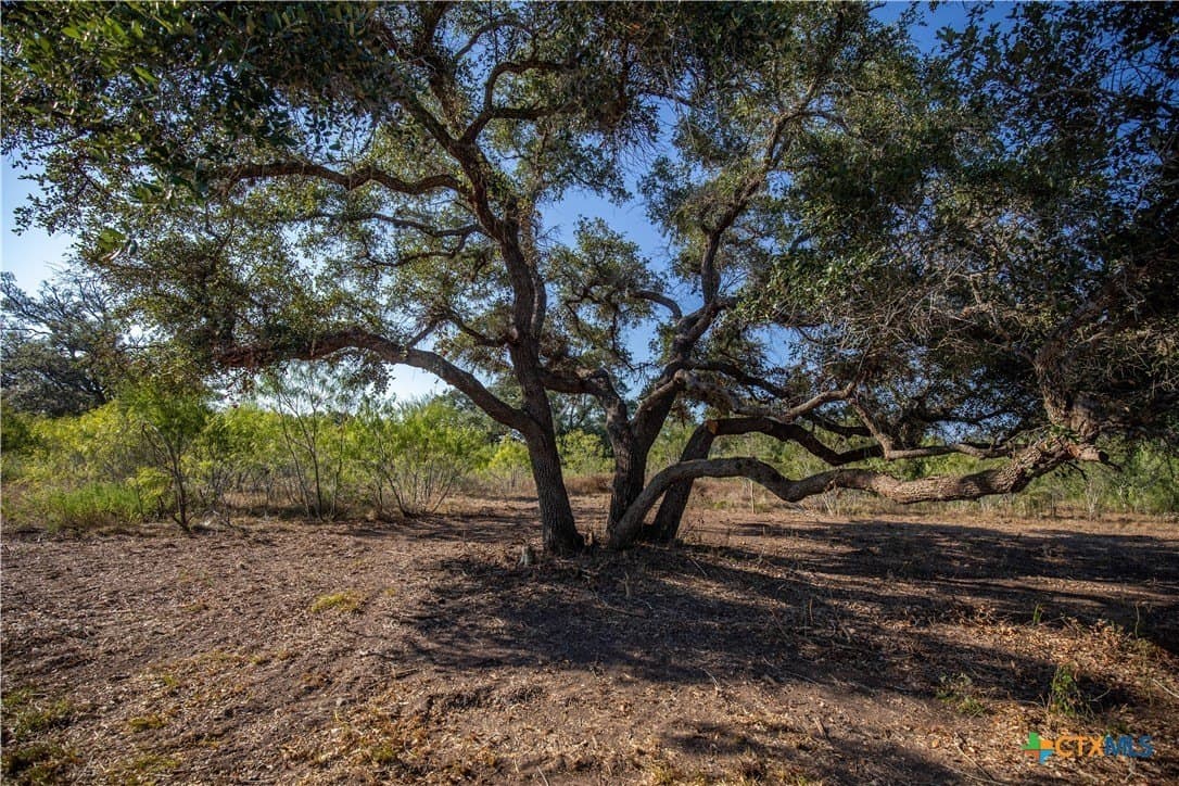 109.03 acres in DeWitt County - photo 10