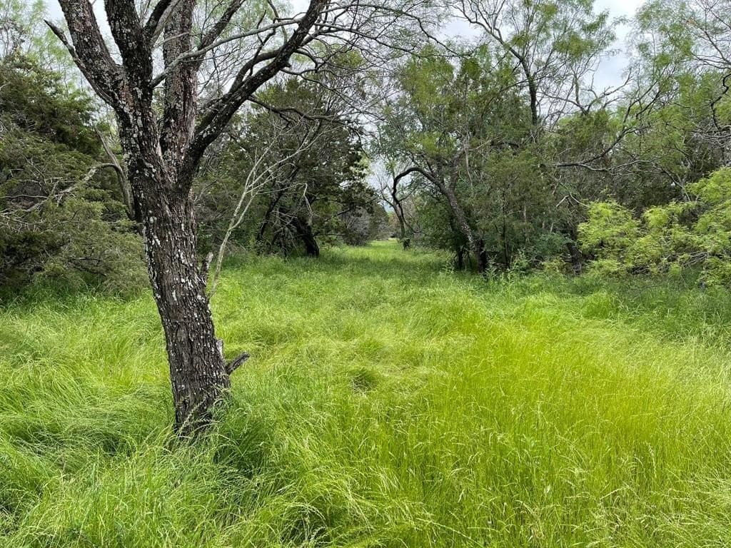 39 acres in Somervell County - photo 38