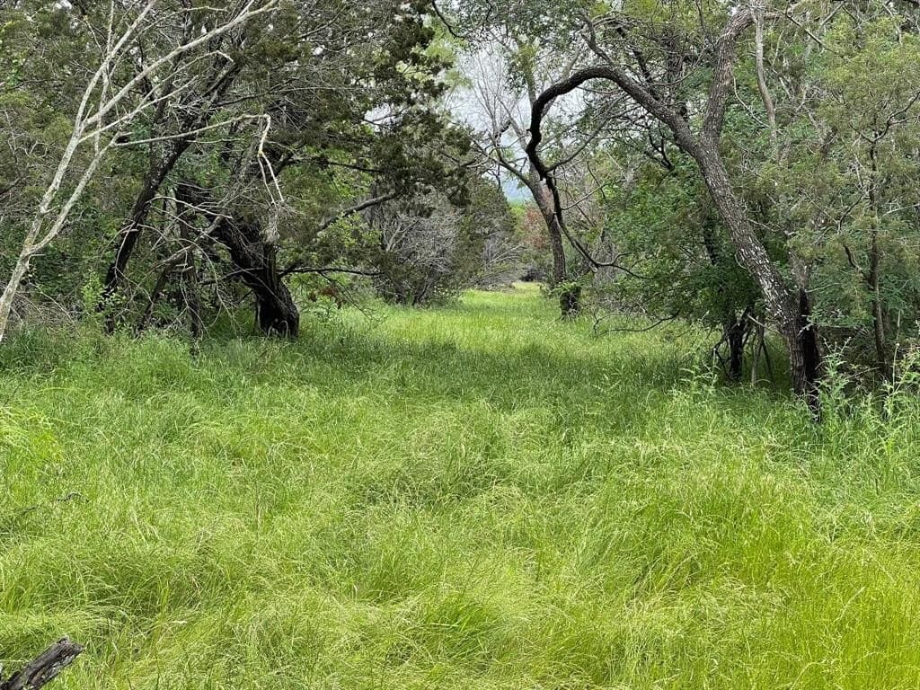 39 acres in Somervell County - photo 35