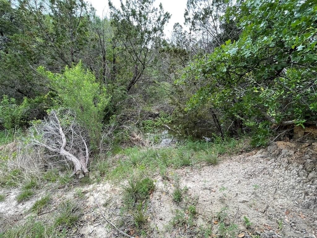 39 acres in Somervell County - photo 34