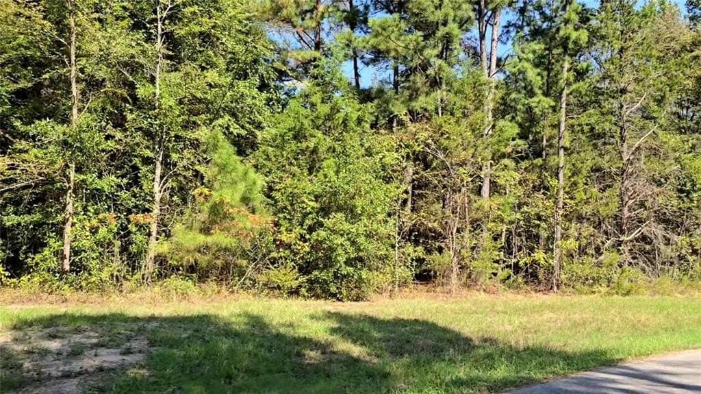 0.23 acres in Wood County - photo 16