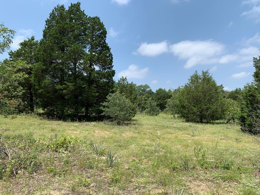 148.72 acres in HENDERSON County - photo 4