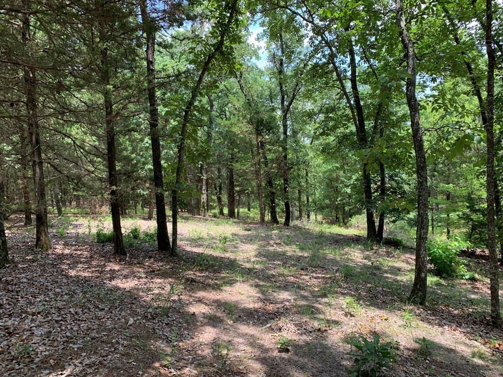 148.72 acres in HENDERSON County - photo 7