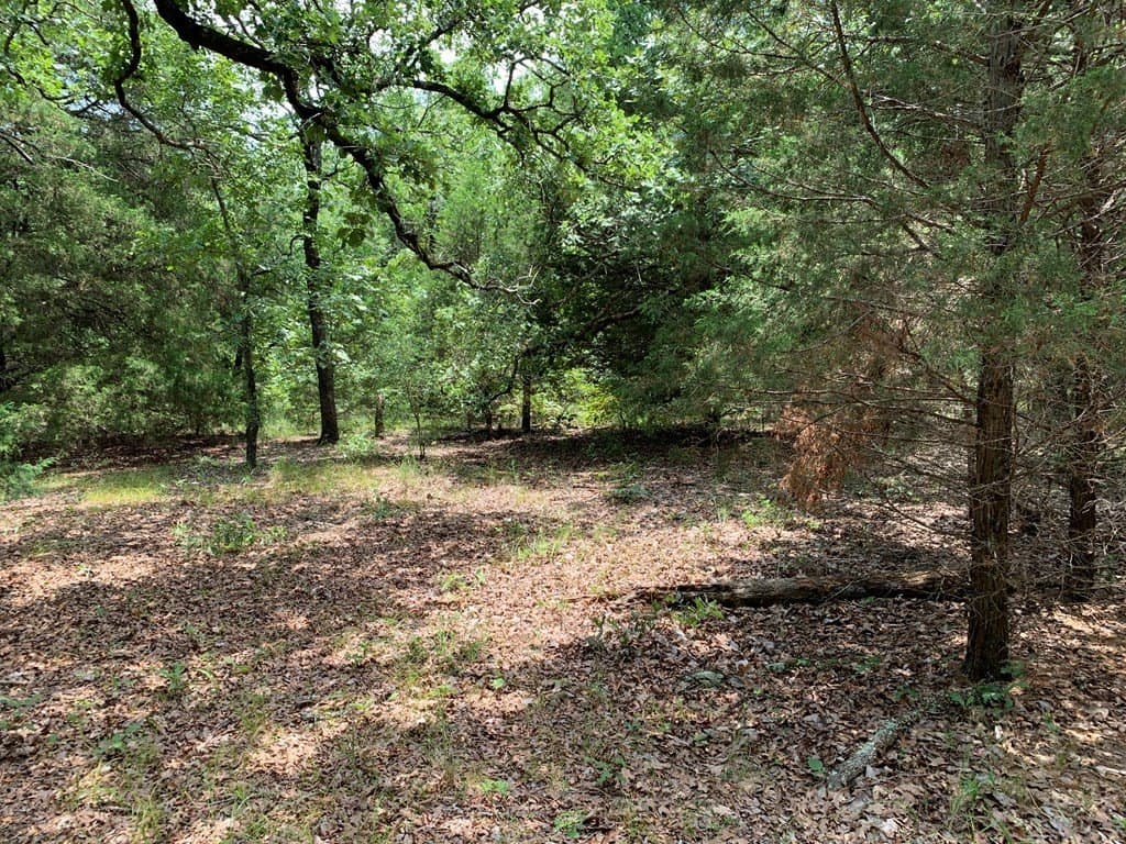 148.72 acres in HENDERSON County - photo 16