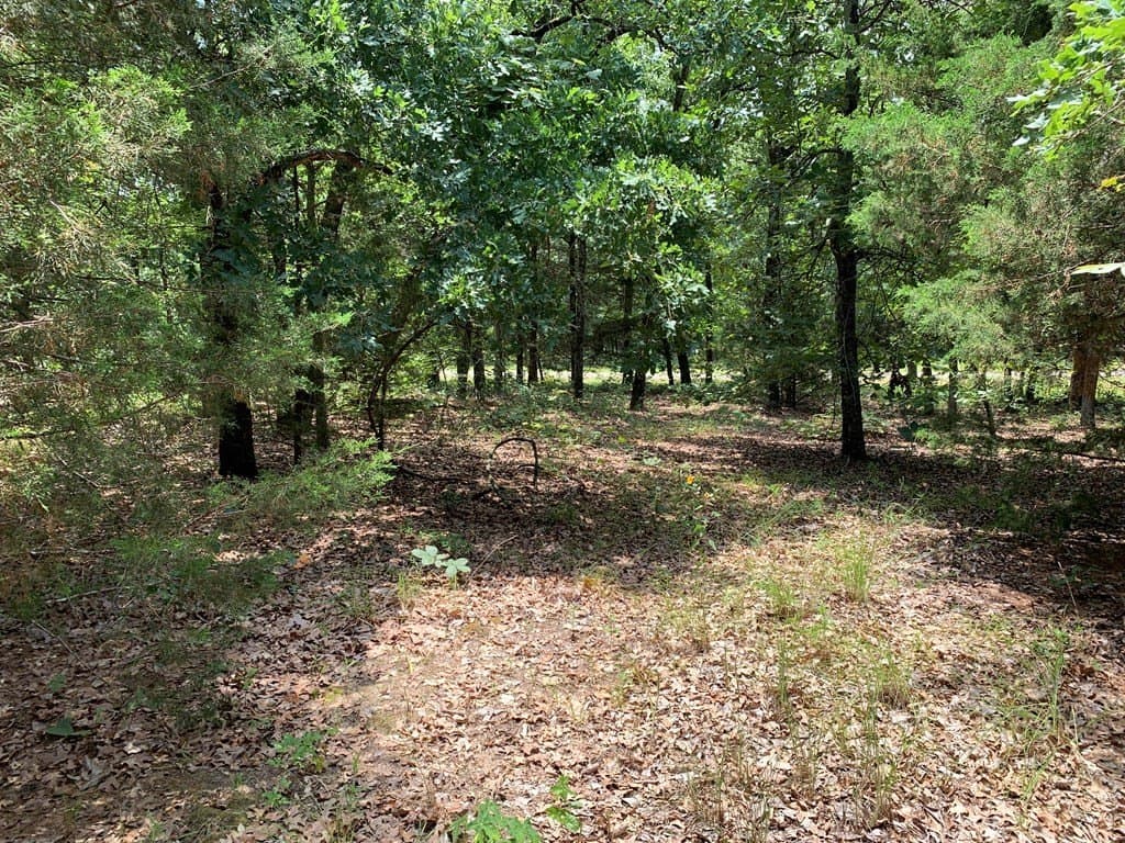 148.72 acres in HENDERSON County - photo 17