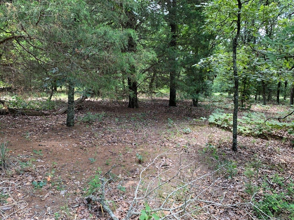 148.72 acres in HENDERSON County - photo 15