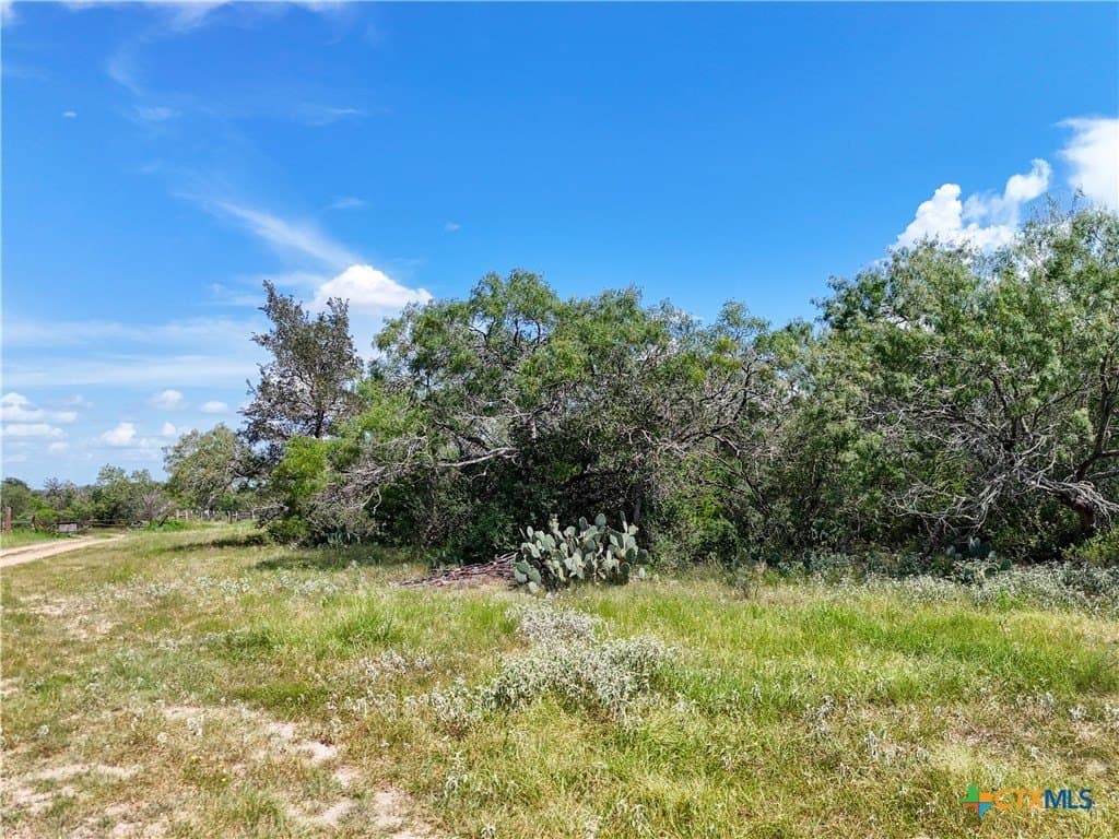 23.07 acres in Gonzales County - photo 9