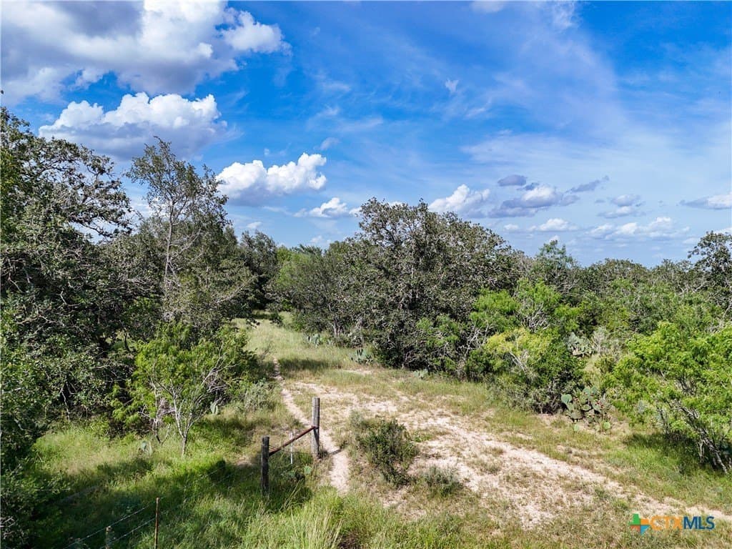 23.07 acres in Gonzales County - photo 5
