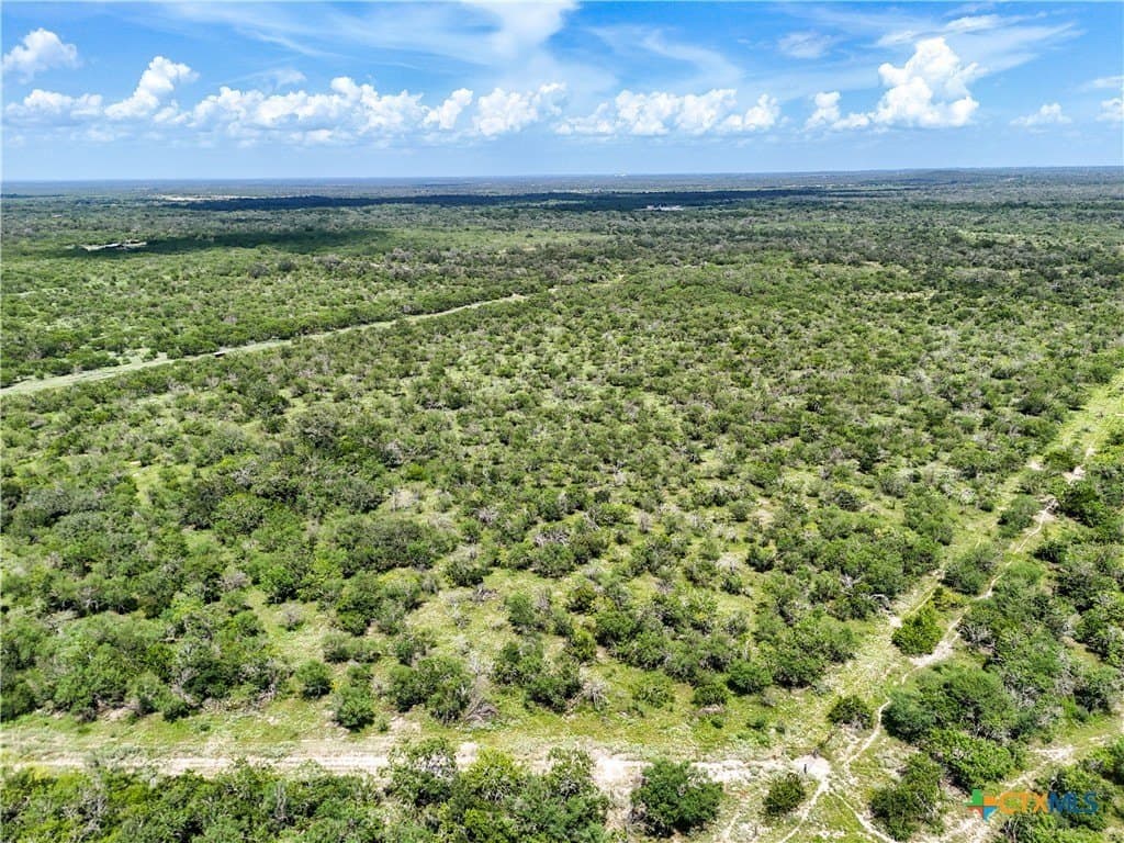 23.07 acres in Gonzales County - photo 18