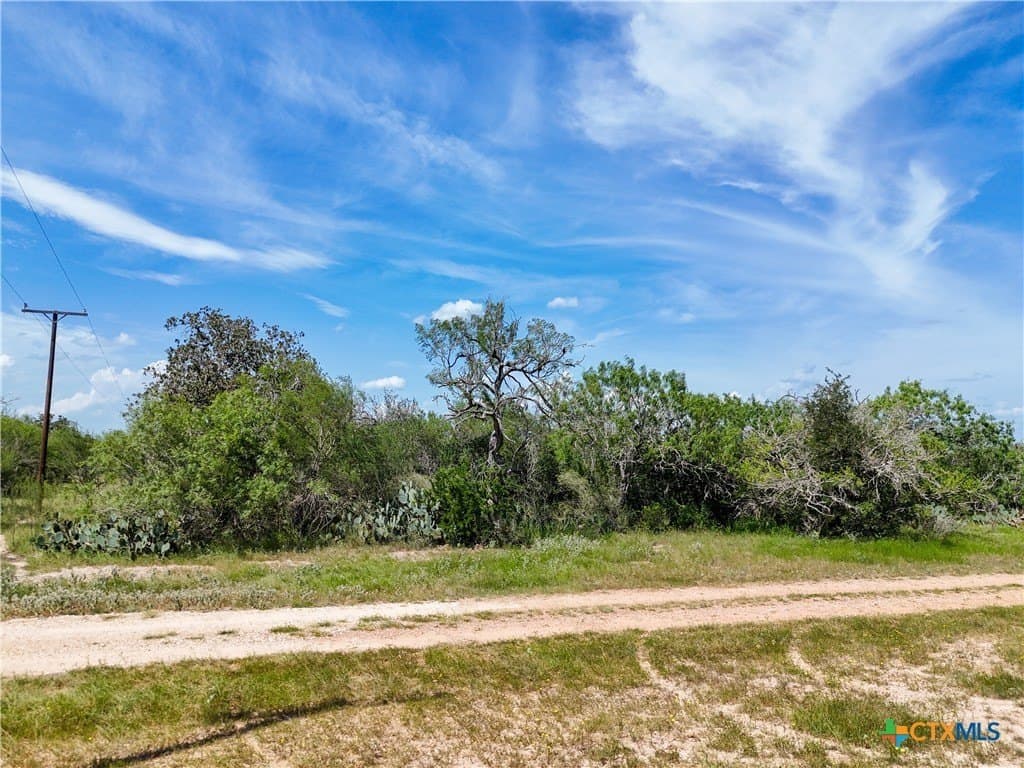 23.07 acres in Gonzales County - photo 8