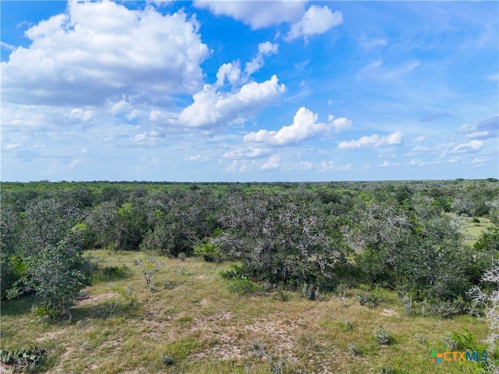 23.07 acres in Gonzales County - photo 3