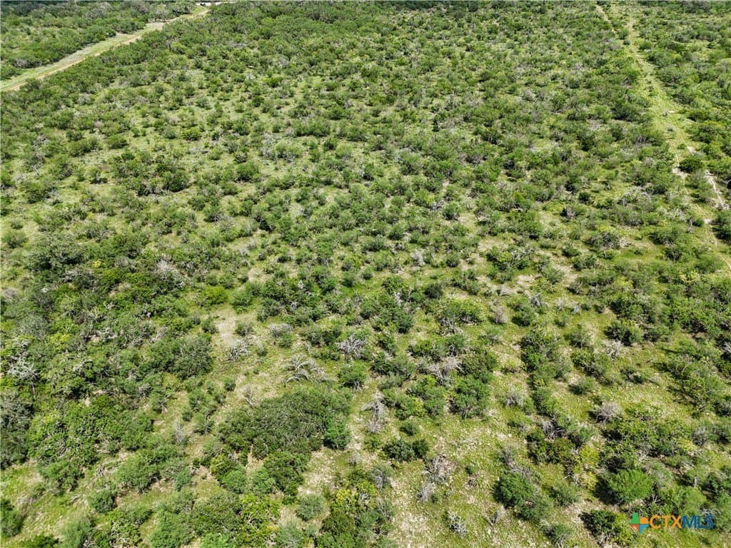 23.07 acres in Gonzales County - photo 19
