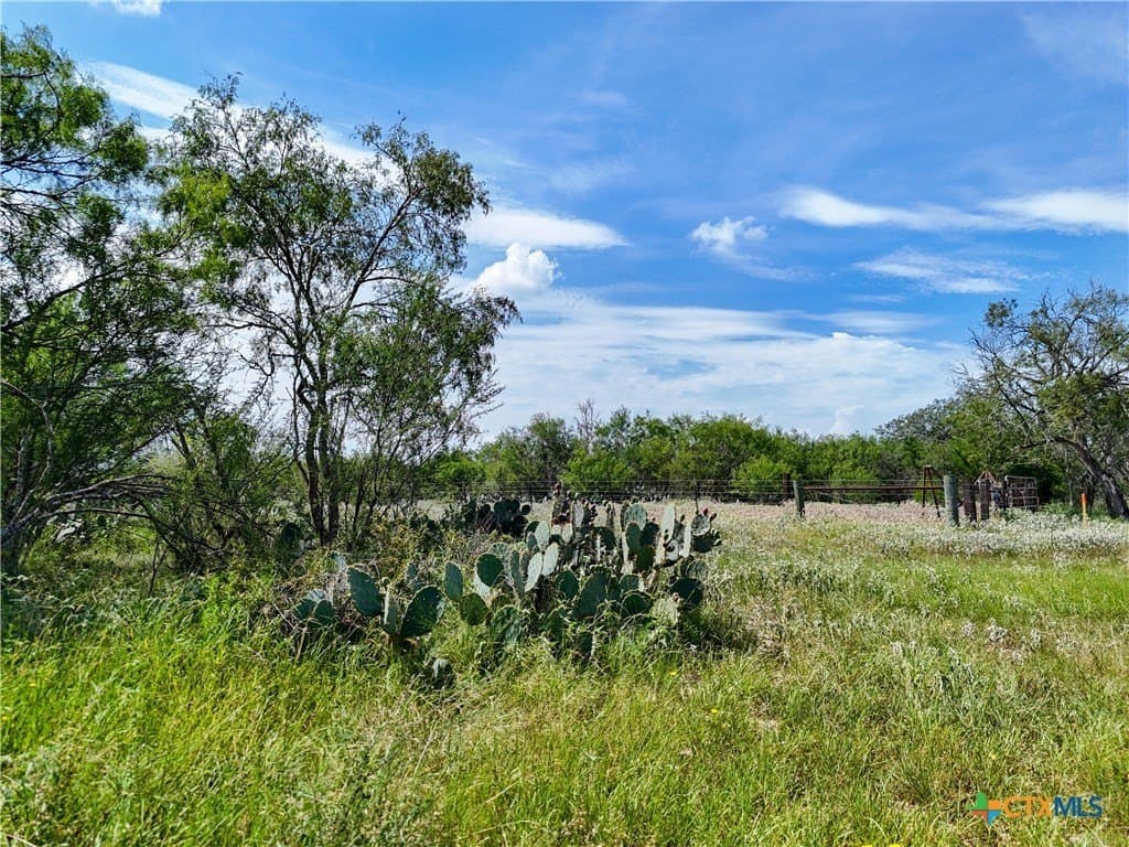 23.07 acres in Gonzales County - photo 11