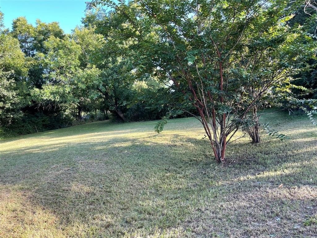 0.1 acres in Hunt County - photo 6