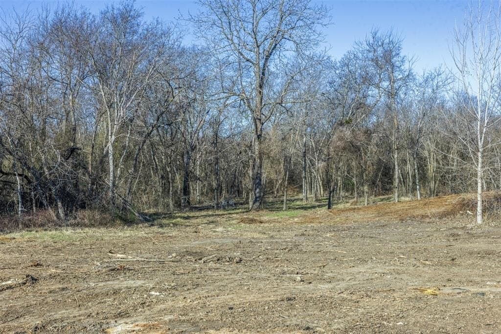 10 acres in Limestone County - photo 6