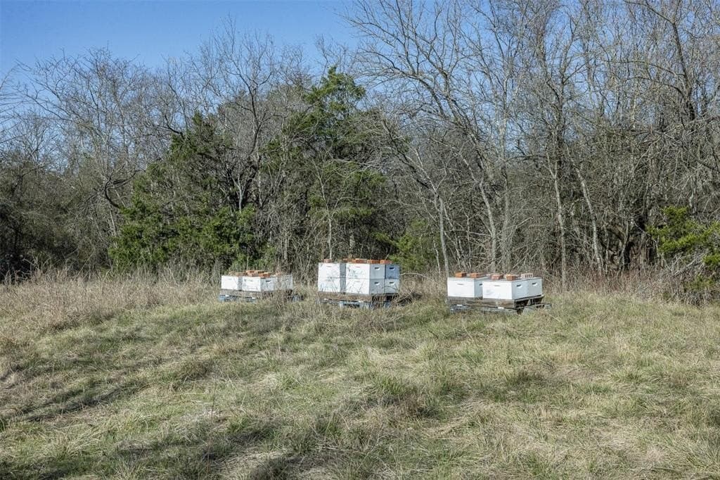 10 acres in Limestone County - photo 12