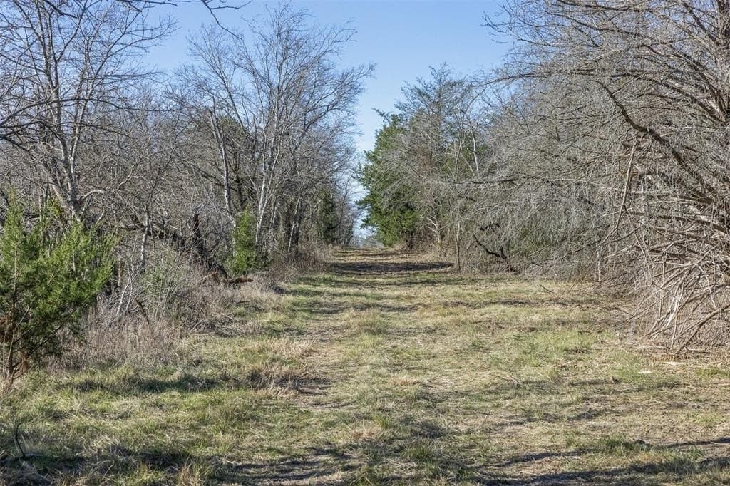 10 acres in Limestone County - photo 10