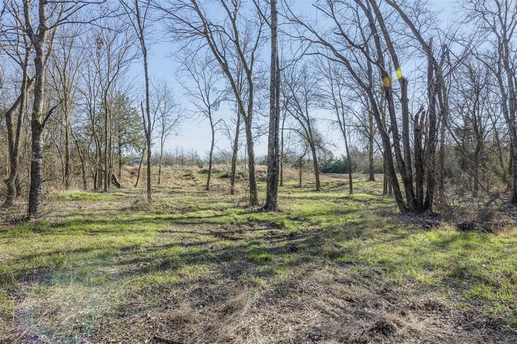 10 acres in Limestone County - photo 7