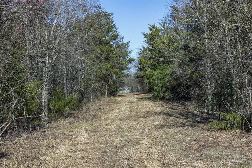 10 acres in Limestone County - photo 15