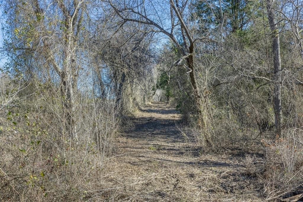 10 acres in Limestone County - photo 14